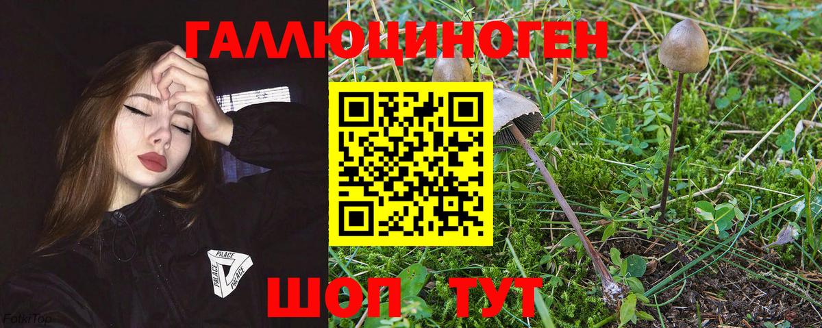Качканар  Галлюциногенные грибы MAGIC MUSHROOMS  Вход с VPN 