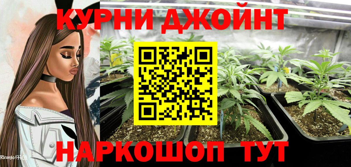 Бошки марихуана марихуана  Вход с VPN  Бошки марихуана VHQ  Качканар  Каннабис конопля  Бошки Шишки White Widow 